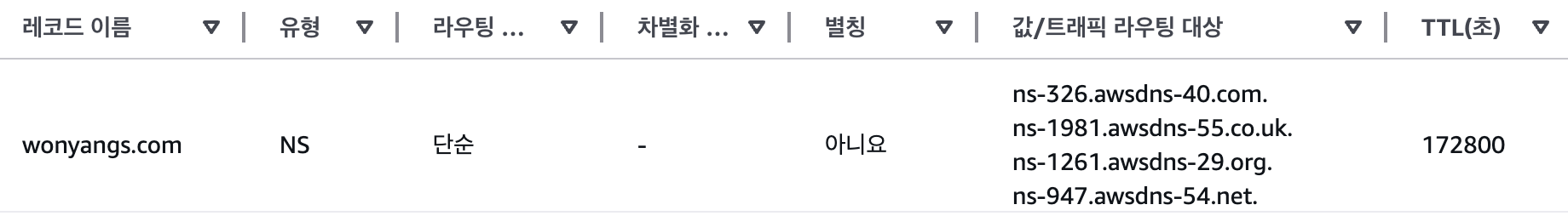 NS 레코드 예시